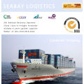 professional Foshan ocean freight to TOKYO,Japan